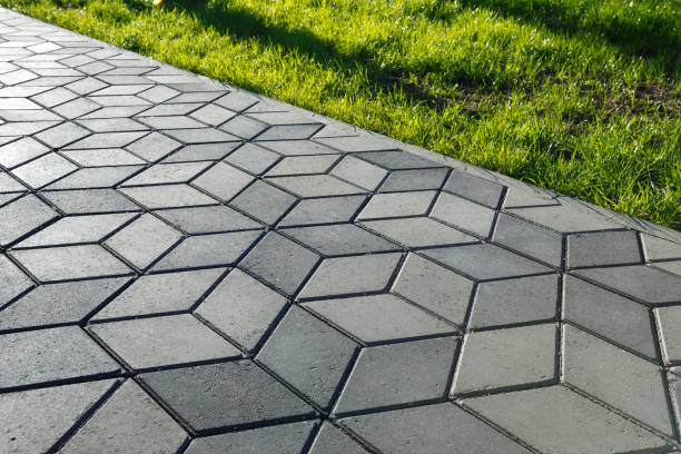 Best Permeable Paver Driveway  in La Grulla, TX