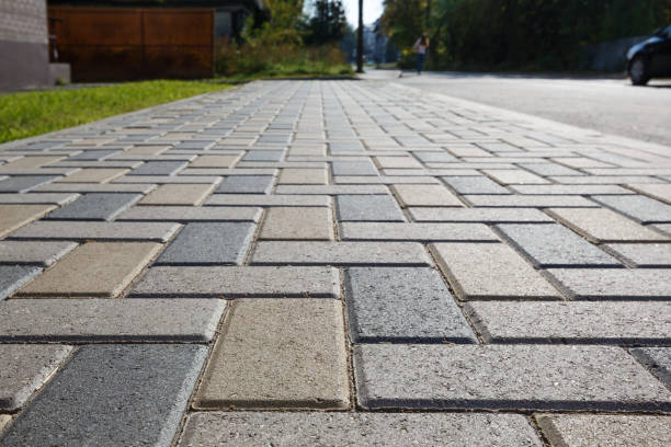 Best Best Driveway Pavers  in La Grulla, TX