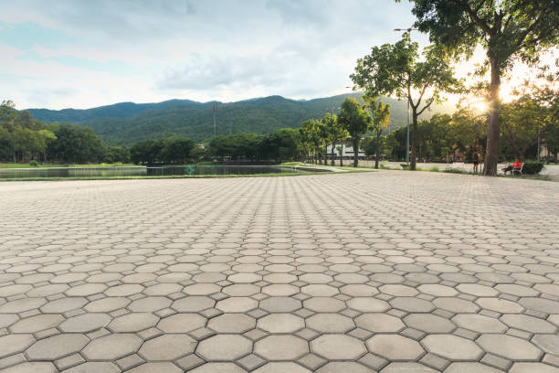 Best Driveway Resurfacing Pavers  in La Grulla, TX