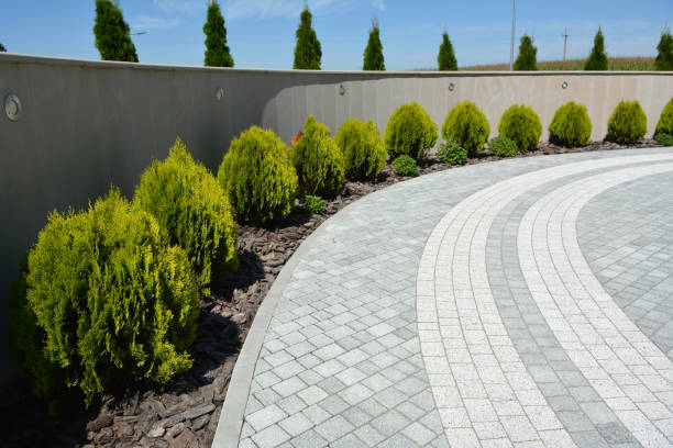 Best Local Driveway Pavers  in La Grulla, TX