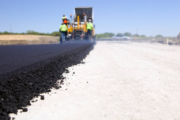 Best Driveway Paver Repair  in La Grulla, TX