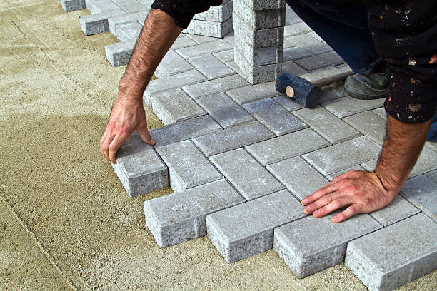 Best Driveway Pavers Near Me  in La Grulla, TX