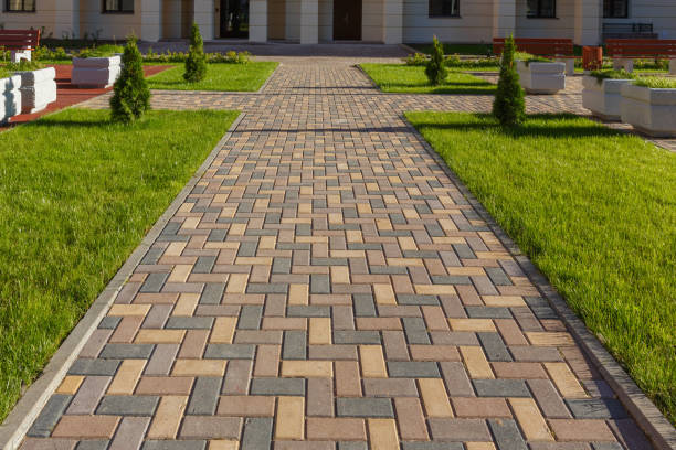 Best Custom Driveway Pavers  in La Grulla, TX