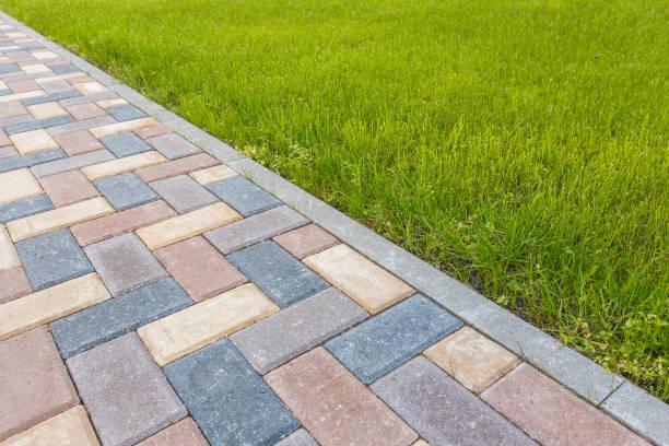 Best Commercial Driveway Pavers  in La Grulla, TX